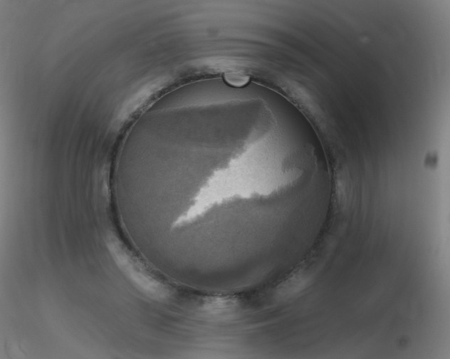 X0000116830398200912181439