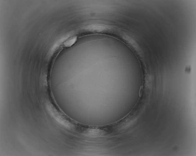X0000116830399200912181439