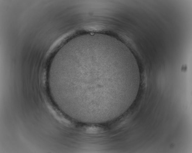 X0000116830400200912181439