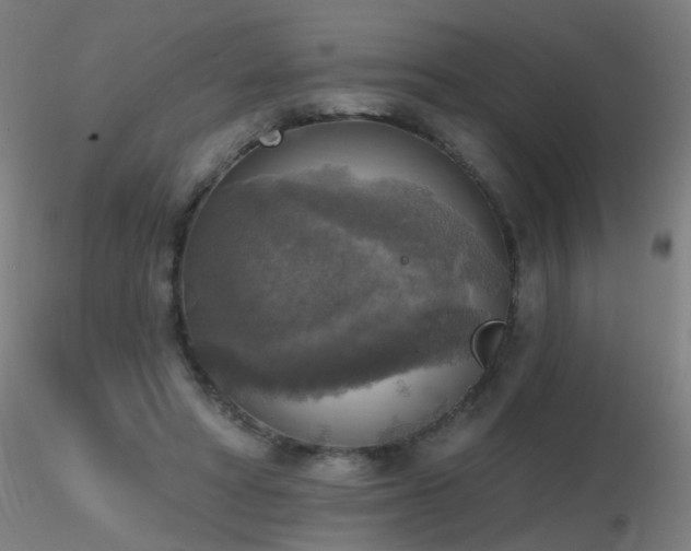 X0000116830402200912181439