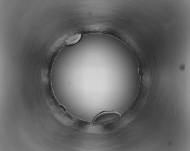 X0000116830403200912181439