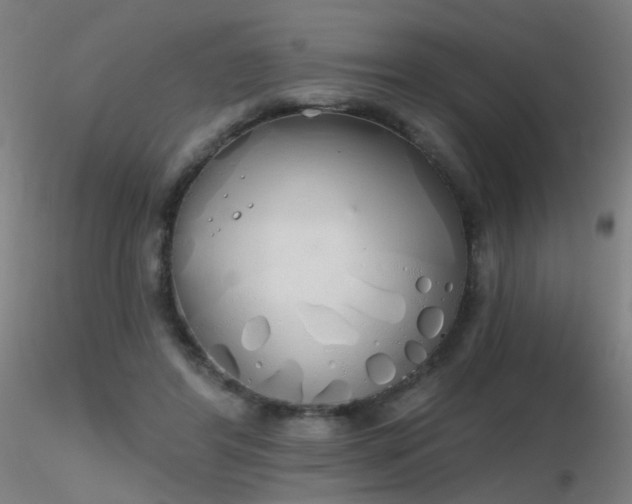X0000116830404200912181439
