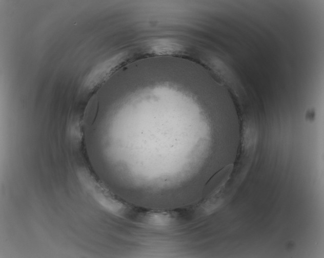 X0000116830405200912181438
