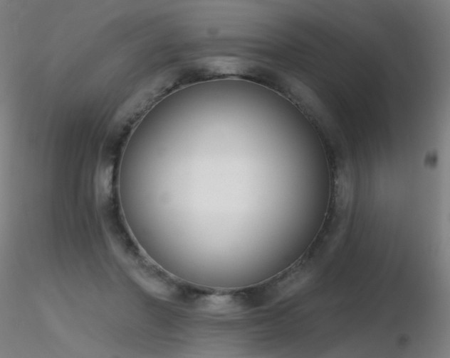 X0000116830406200912181438