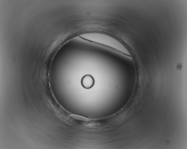 X0000116830407200912181438