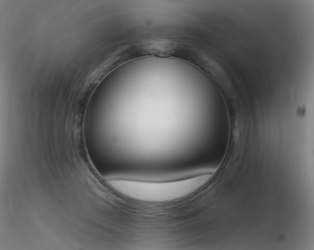 X0000116830409200912181438