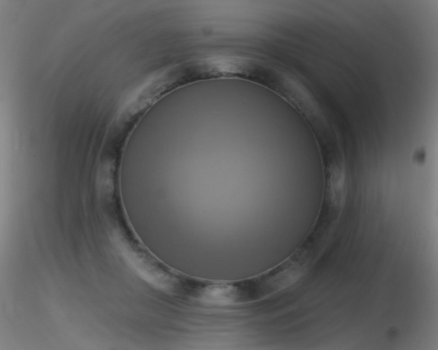 X0000116830410200912181438