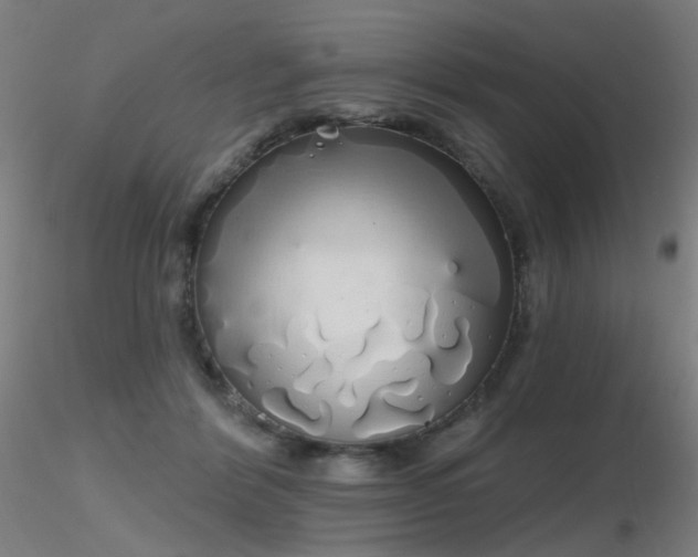 X0000116830412200912181438