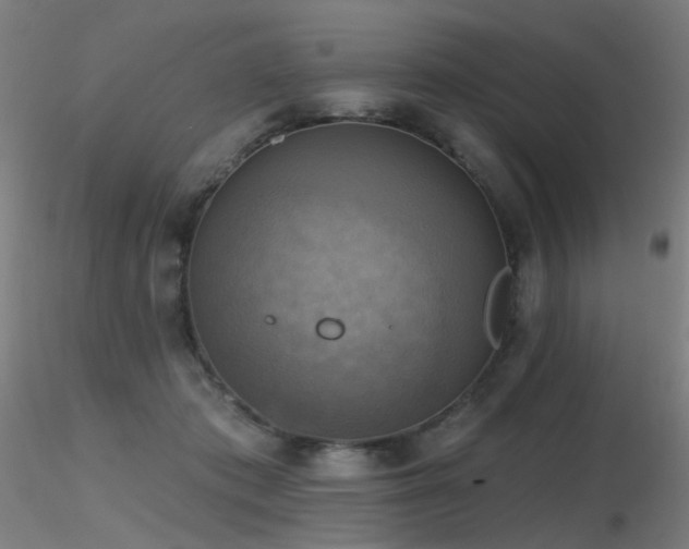X0000116830413200912181438
