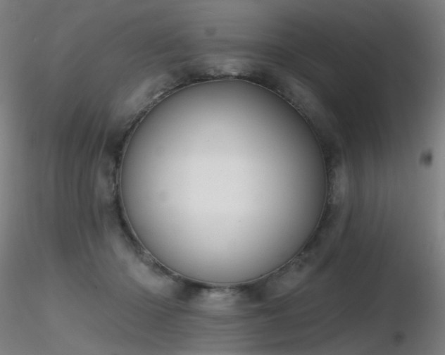 X0000116830414200912181438