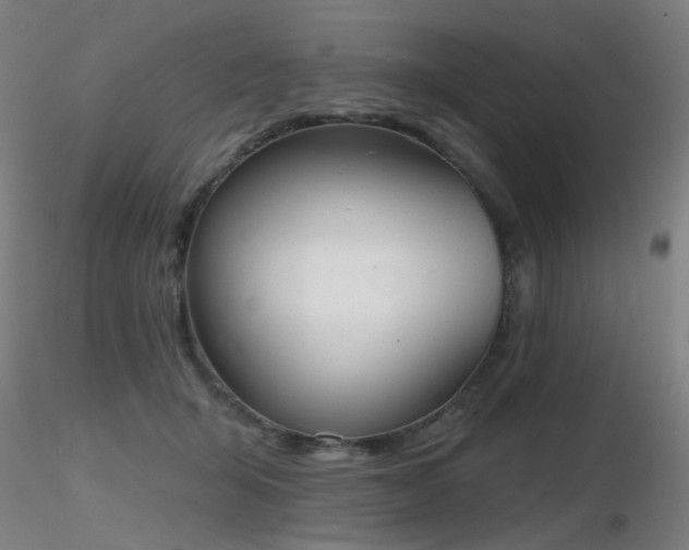 X0000116830415200912181438