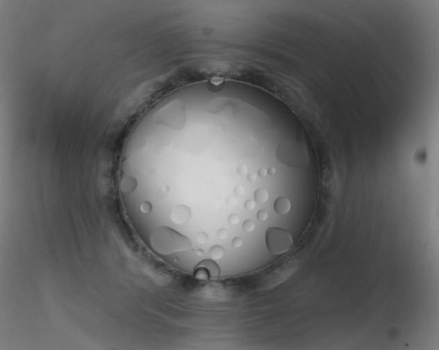 X0000116830416200912181438