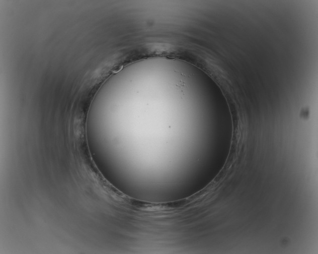 X0000116830417200912181438