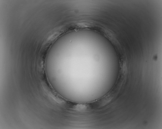 X0000116830418200912181438