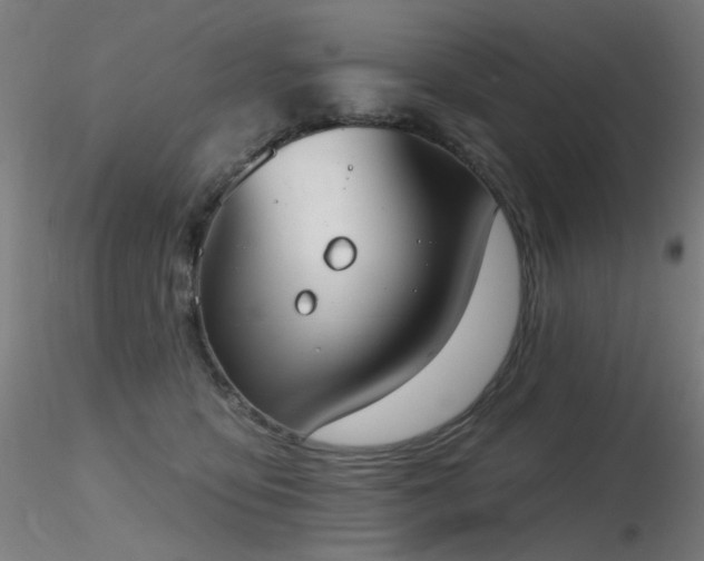X0000116830419200912181438