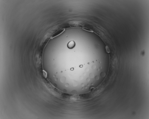 X0000116830420200912181438