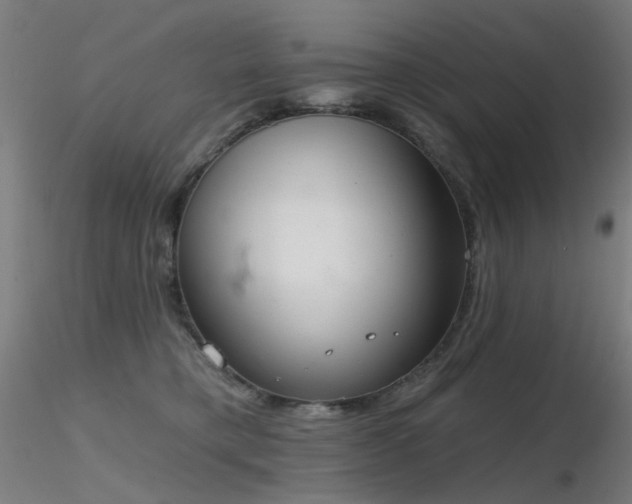 X0000116830421200912181438