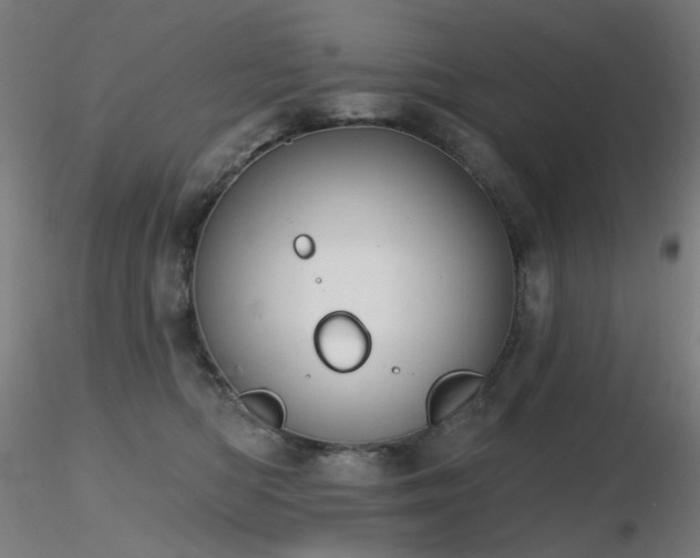 X0000116830422200912181438