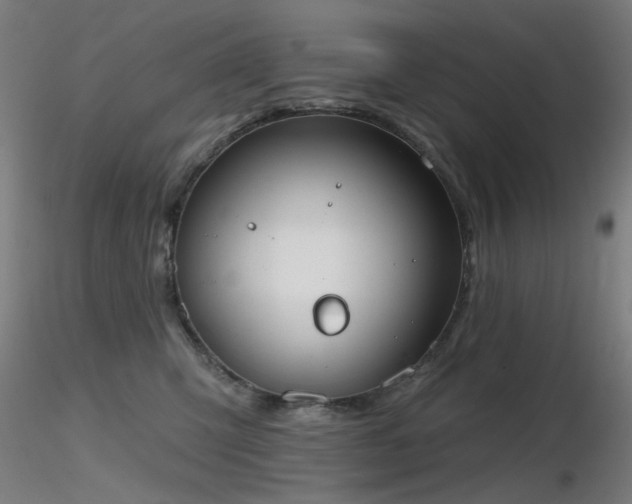 X0000116830423200912181438