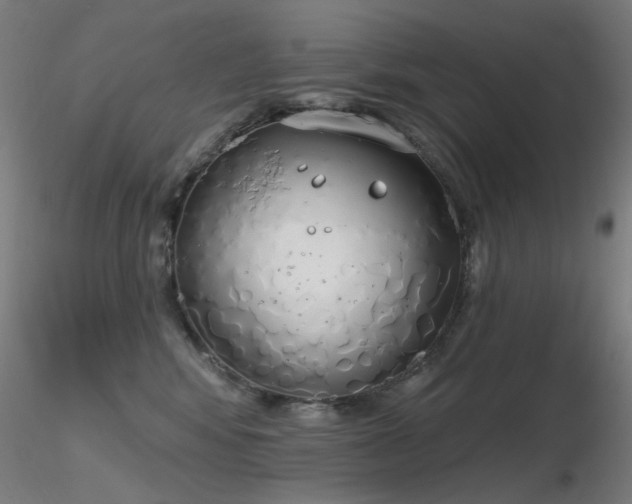X0000116830424200912181438
