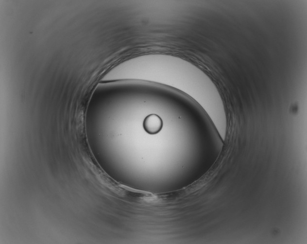 X0000116830425200912181438