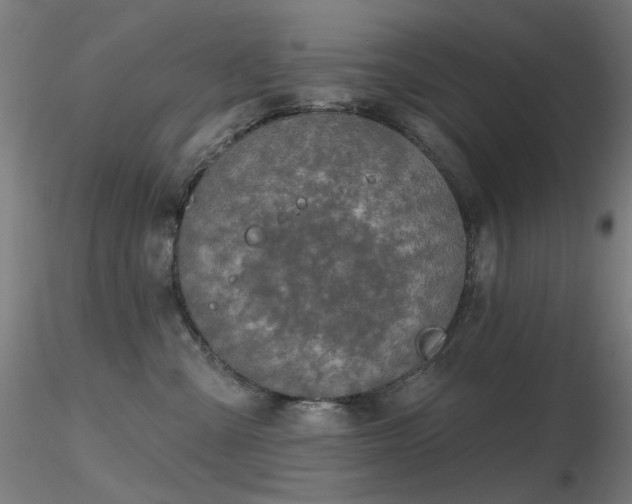 X0000116830427200912181438