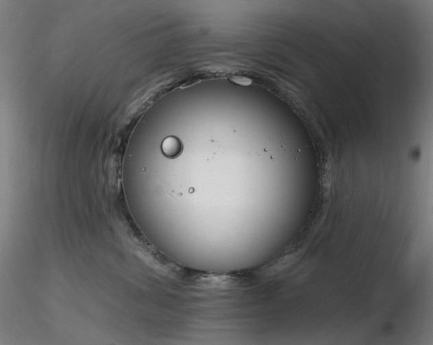 X0000116830428200912181438
