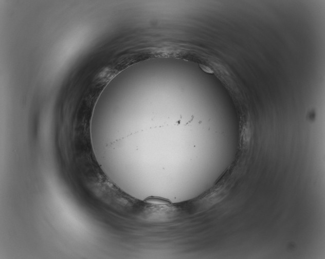 X0000116830429200912181438