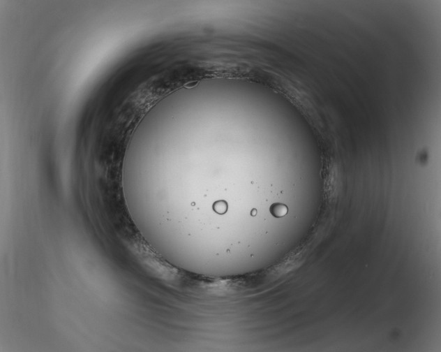 X0000116830430200912181438