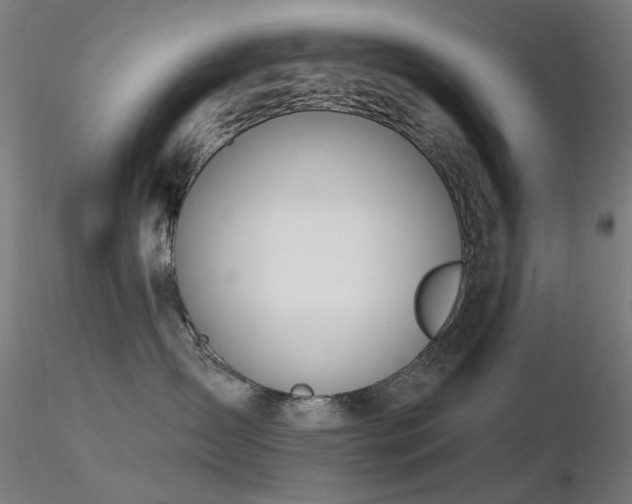 X0000116830431200912181438