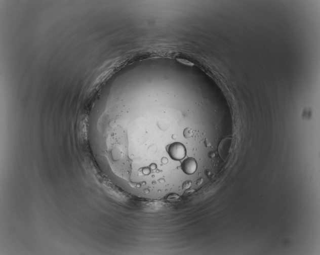 X0000116830432200912181438
