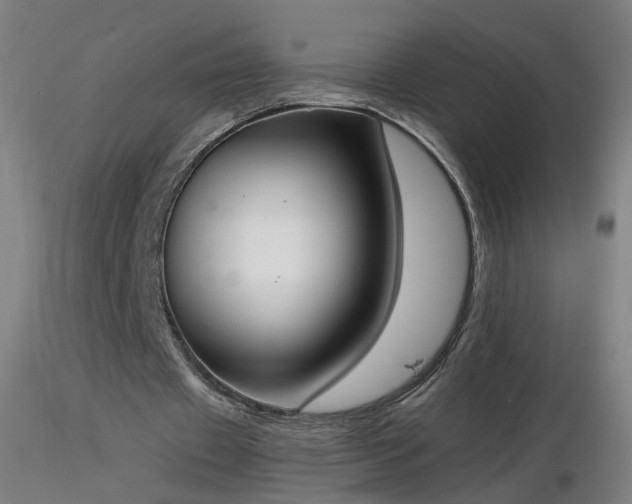 X0000116830433200912181437