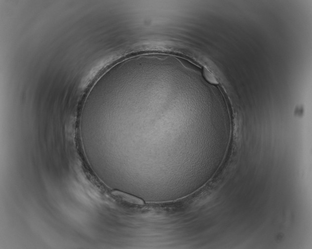 X0000116830434200912181437