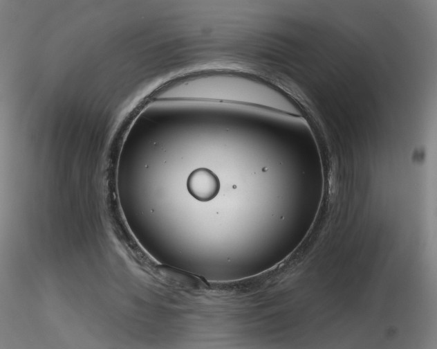 X0000116830436200912181437