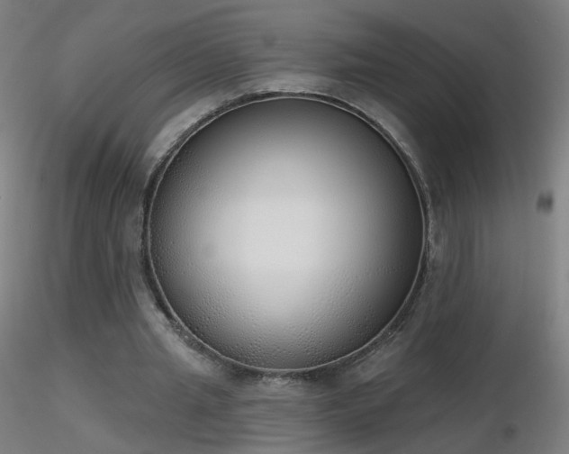 X0000116830437200912181437