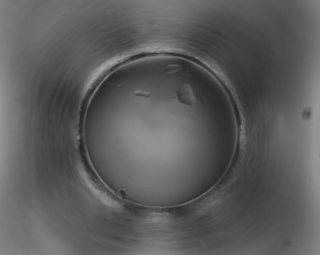 X0000116830438200912181437