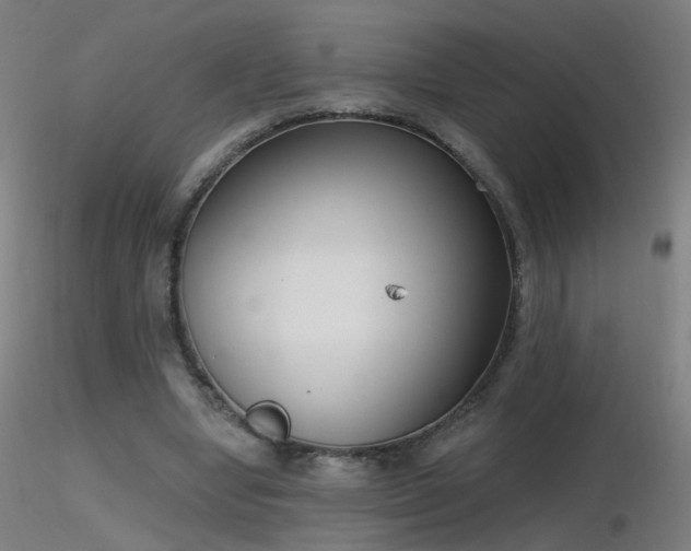 X0000116830442200912181437