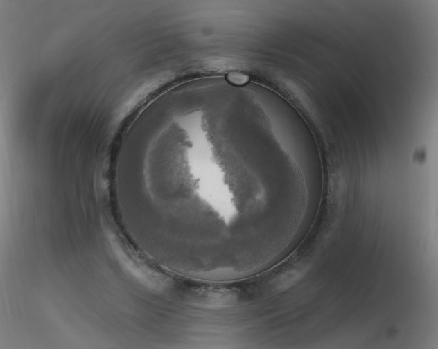 X0000116830443200912181437