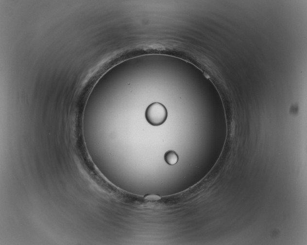 X0000116830444200912181437
