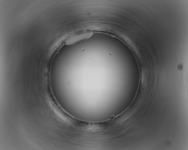 X0000116830445200912181437