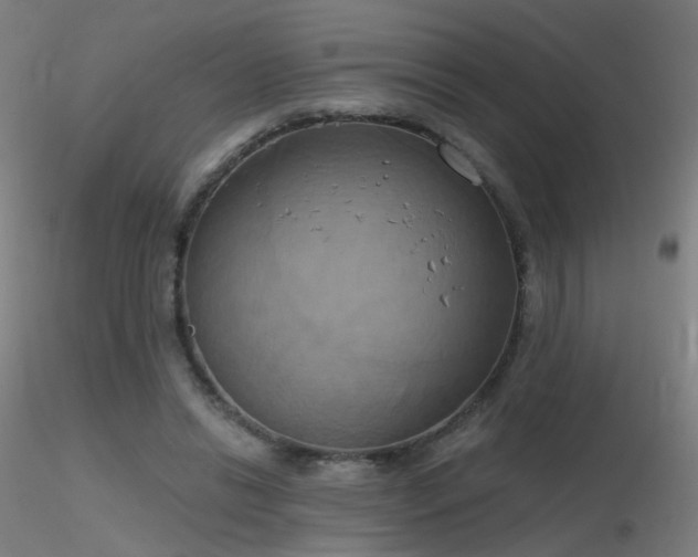 X0000116830446200912181437