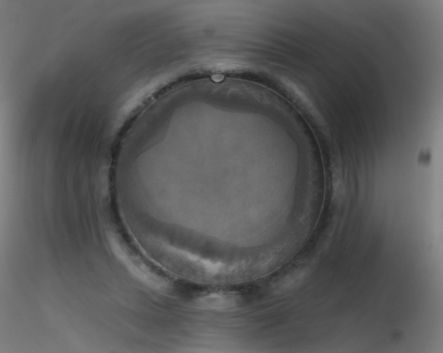 X0000116830447200912181437
