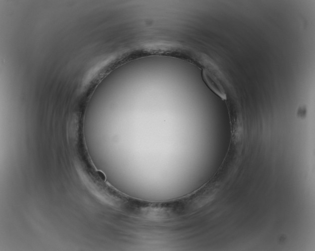 X0000116830448200912181437