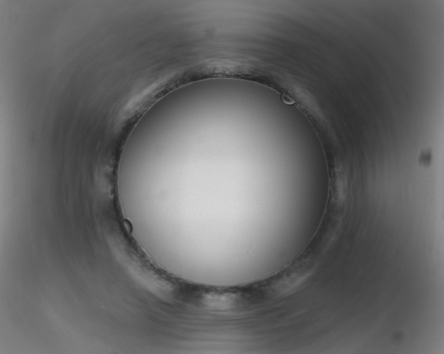 X0000116830450200912181438