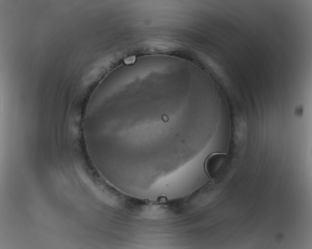 X0000116830451200912181438