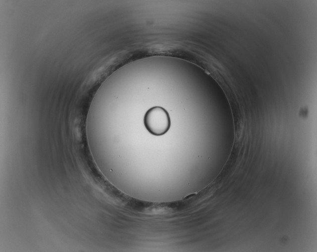 X0000116830452200912181438