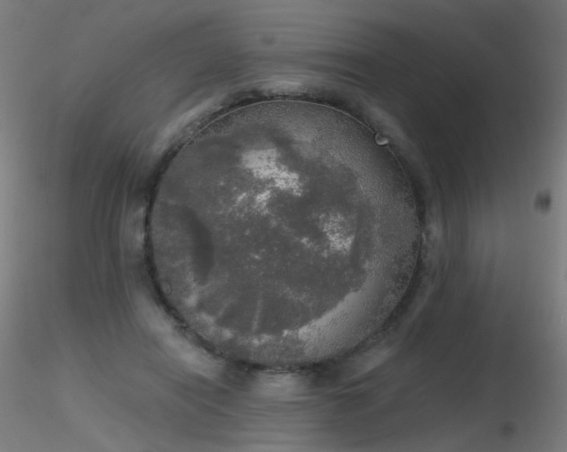 X0000116830454200912181438