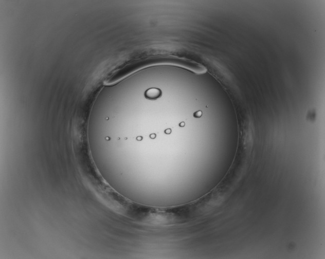 X0000116830455200912181438