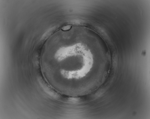 X0000116830457200912181438