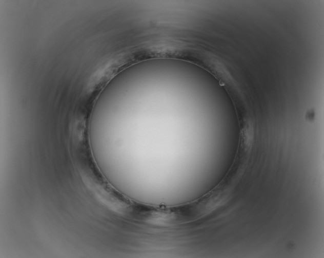 X0000116830458200912181438